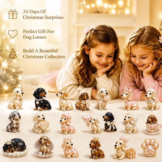 2026 Pearl Dachshund Christmas Advent Calendar | 24-Day Dog-Themed Collectible Decor Gift Box